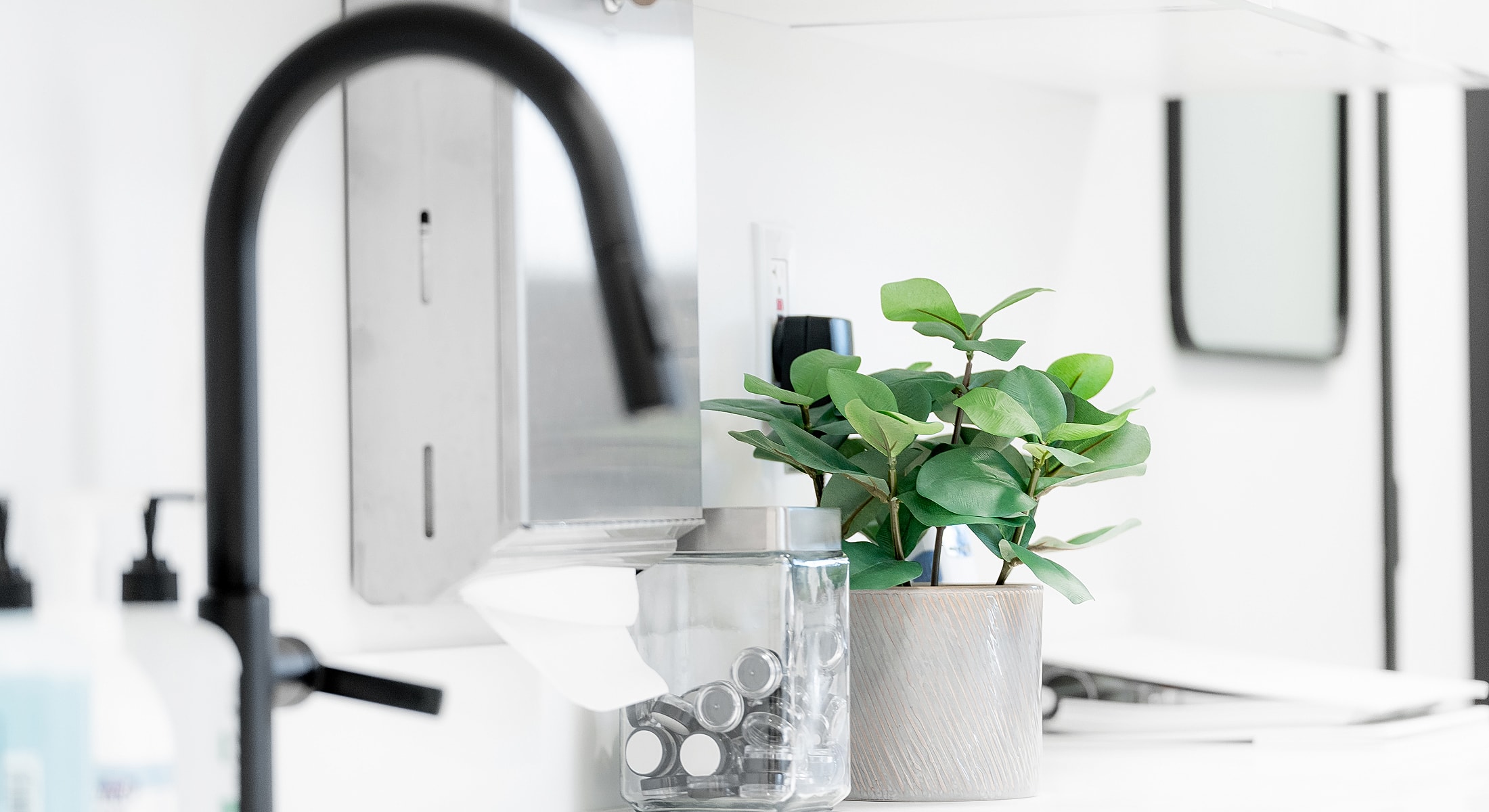 Modern kitchen countertop with plant and supplies.